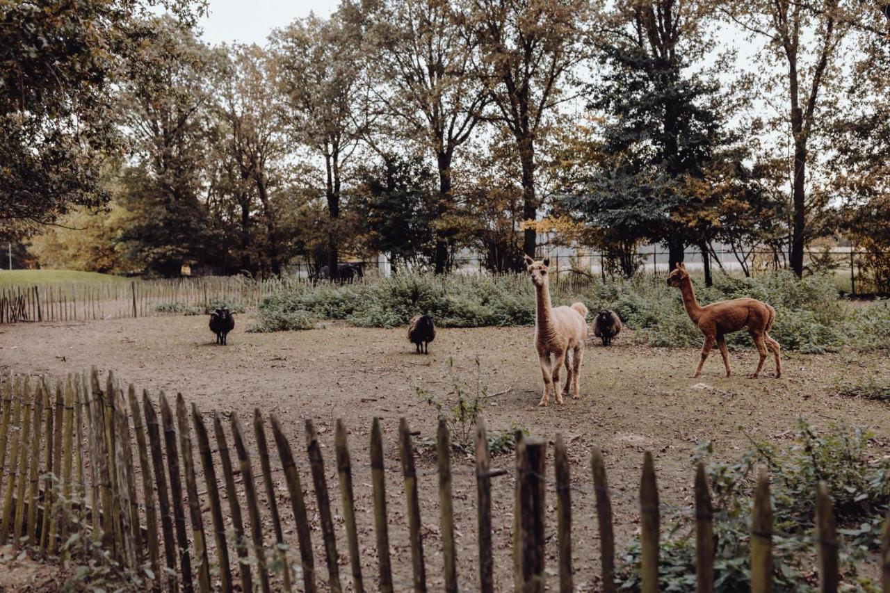 הוילה Broekhuizen  Het Hilkensberg Park מראה חיצוני תמונה
