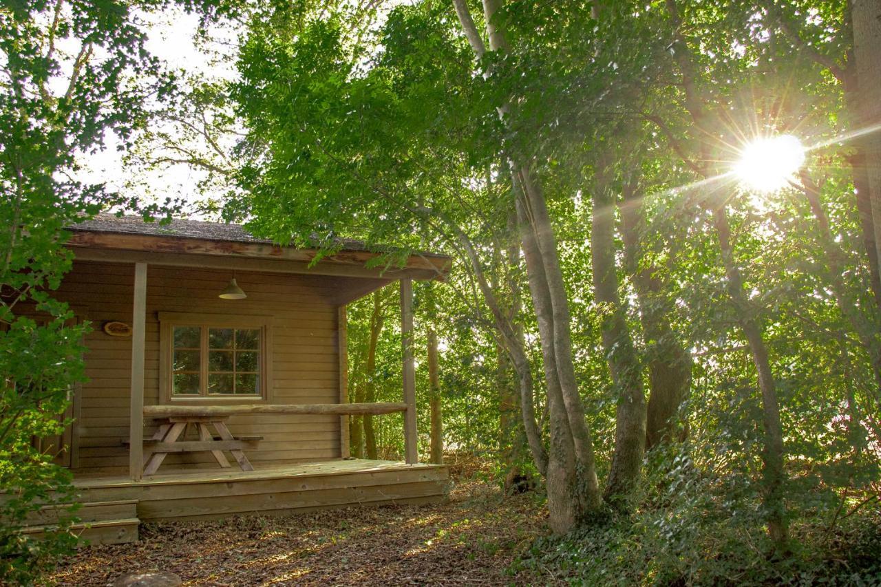 הוילה Broekhuizen  Het Hilkensberg Park מראה חיצוני תמונה
