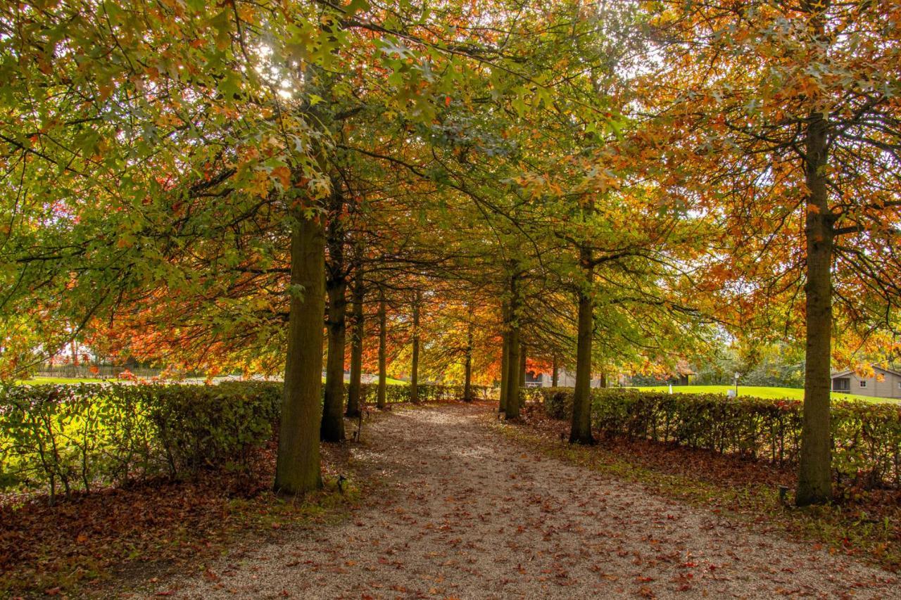הוילה Broekhuizen  Het Hilkensberg Park מראה חיצוני תמונה